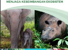 buku fatwa